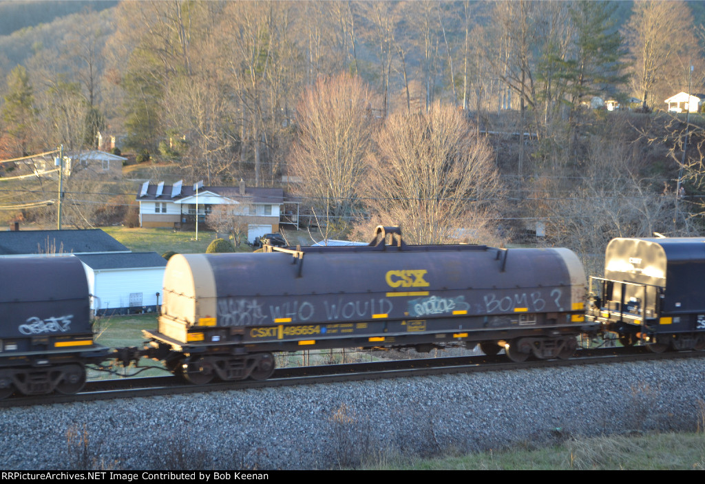 CSXT 495654